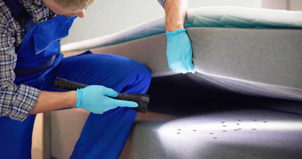 Pest Control Cost in Solomon, KS